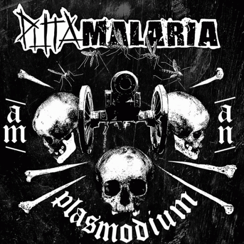 Puta Malaria : Plasmodium